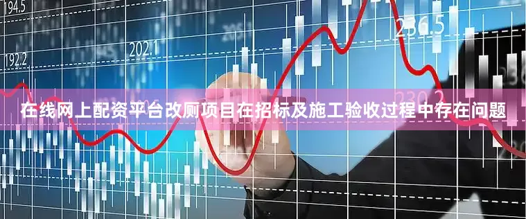 在线网上配资平台改厕项目在招标及施工验收过程中存在问题