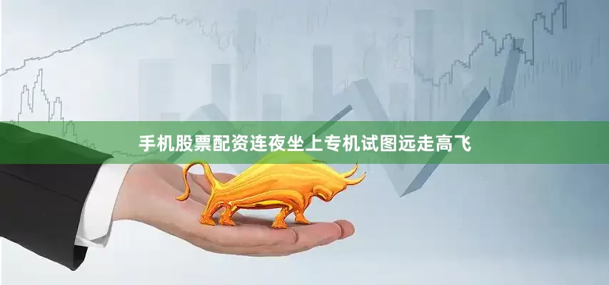手机股票配资连夜坐上专机试图远走高飞
