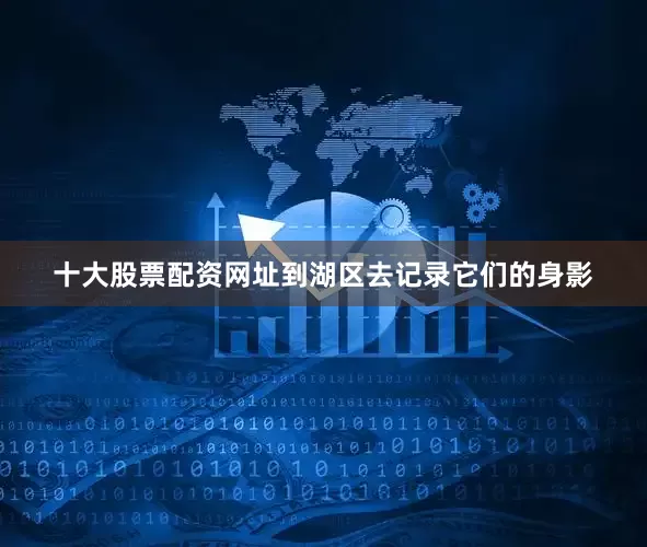 十大股票配资网址到湖区去记录它们的身影